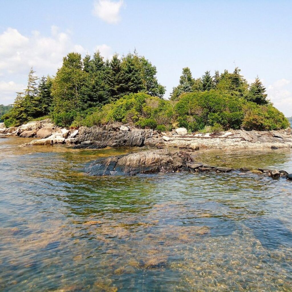 Cabbage Island Clambakes