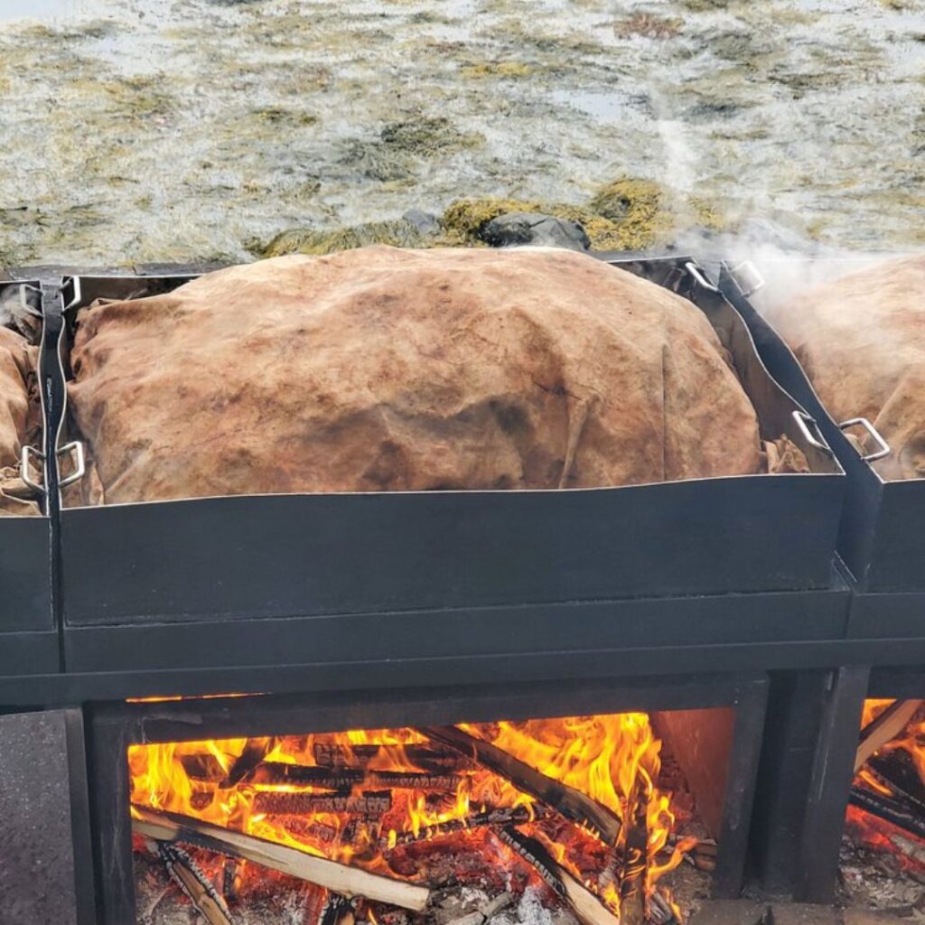 Cabbage Island Clambakes
