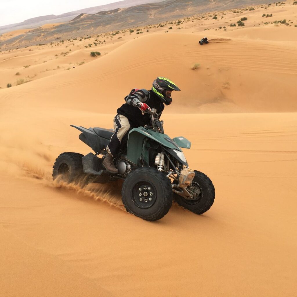 Desert Safari in Qatar
