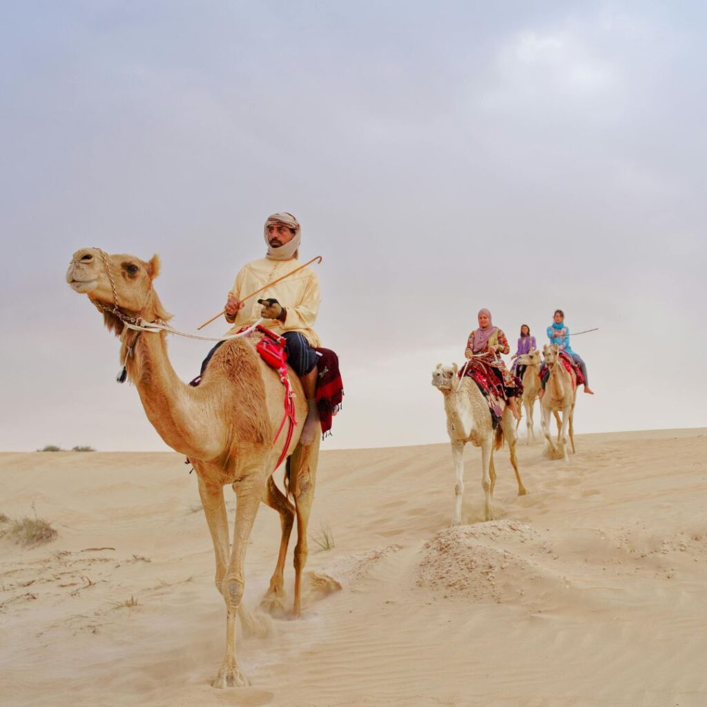 Desert Safari in Qatar